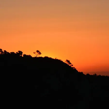 Cor De Prades * Mont-ral