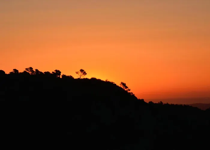 Cor De Prades * Mont-ral
