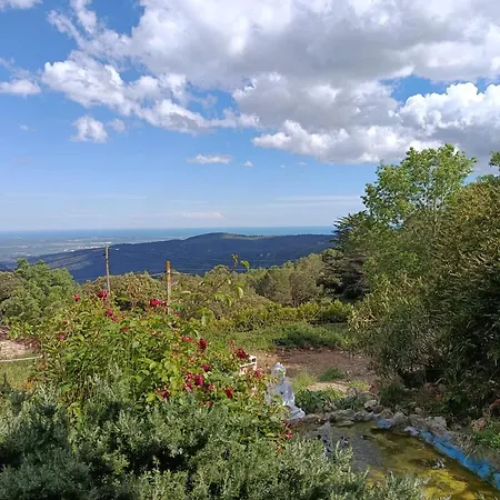 Cor De Prades Mont-ral